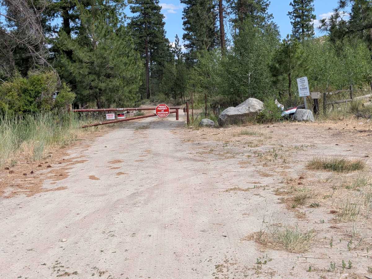 North Cook Mountain Road North half photo 6