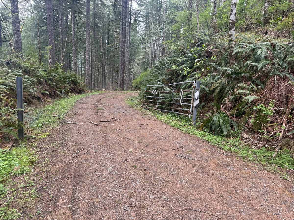 Nook Road photo 5