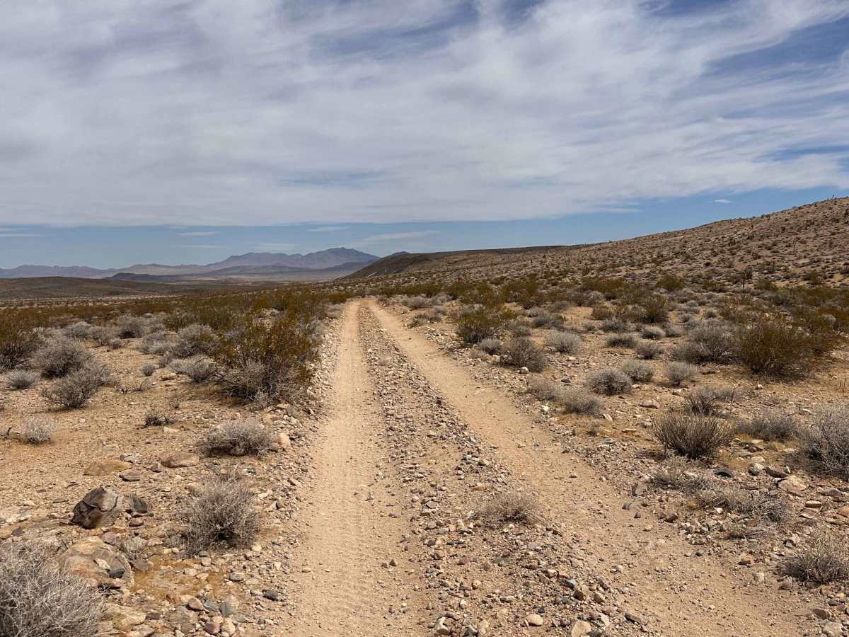 Buckhorn Trail photo 4
