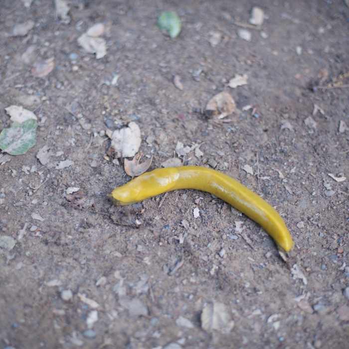 Near Betsy Crowder Trail