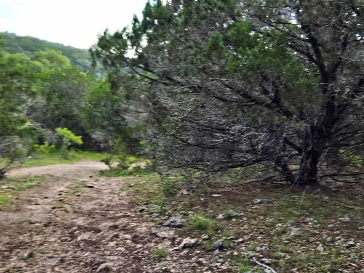 1840 Spur photo 5