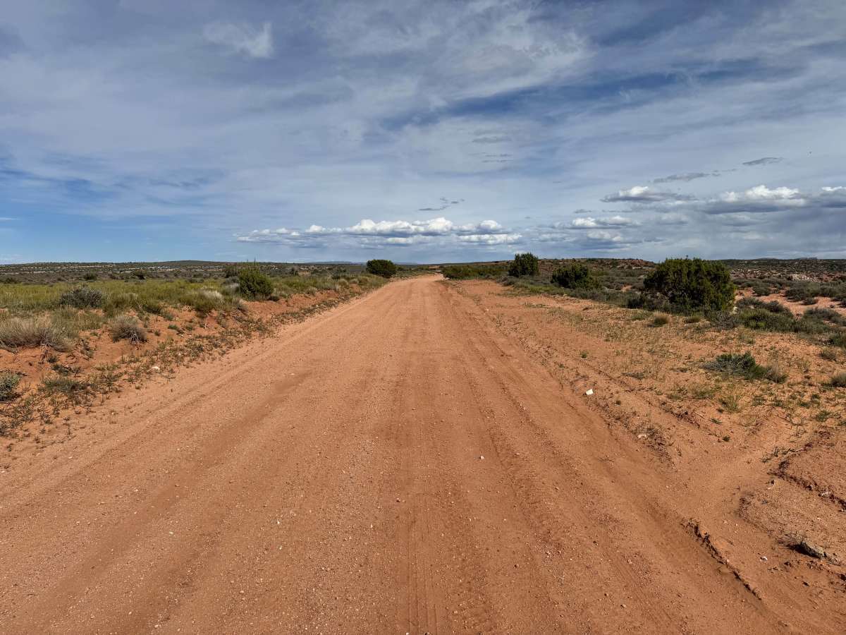 BLM 347 photo 4