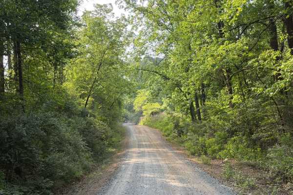 McLeans Creek - FS 544