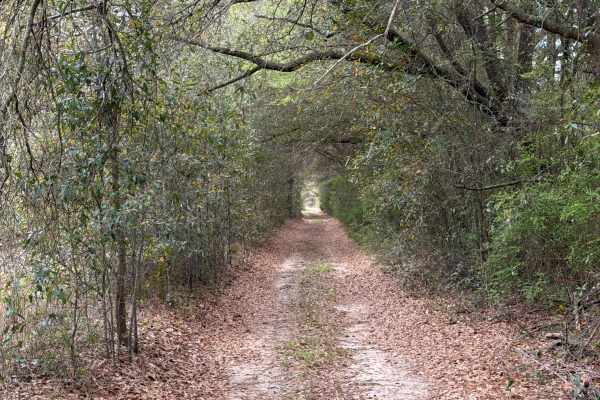 Johnny Parker Road
