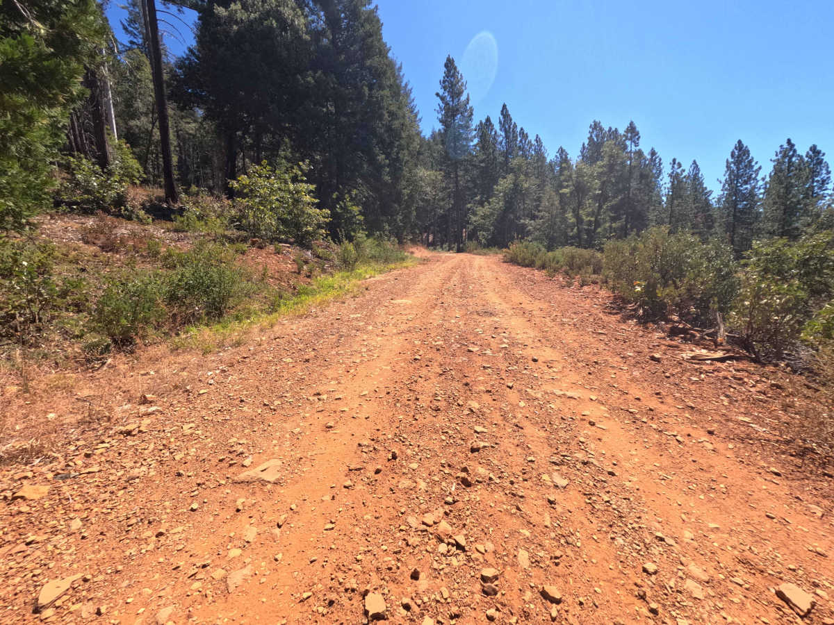 Pike CO Peak - FS 19N17 photo 4