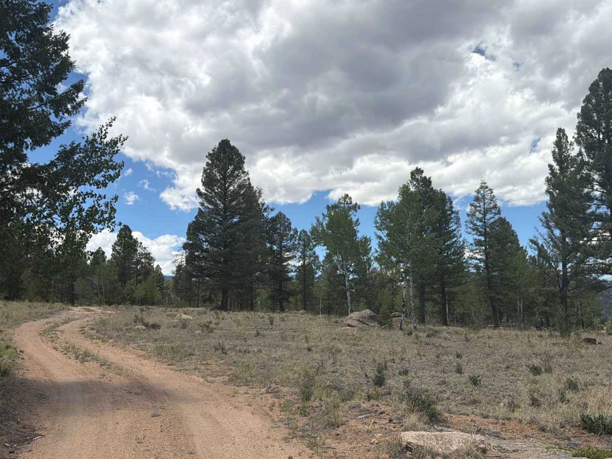Abel Road - FSR 248 photo 5