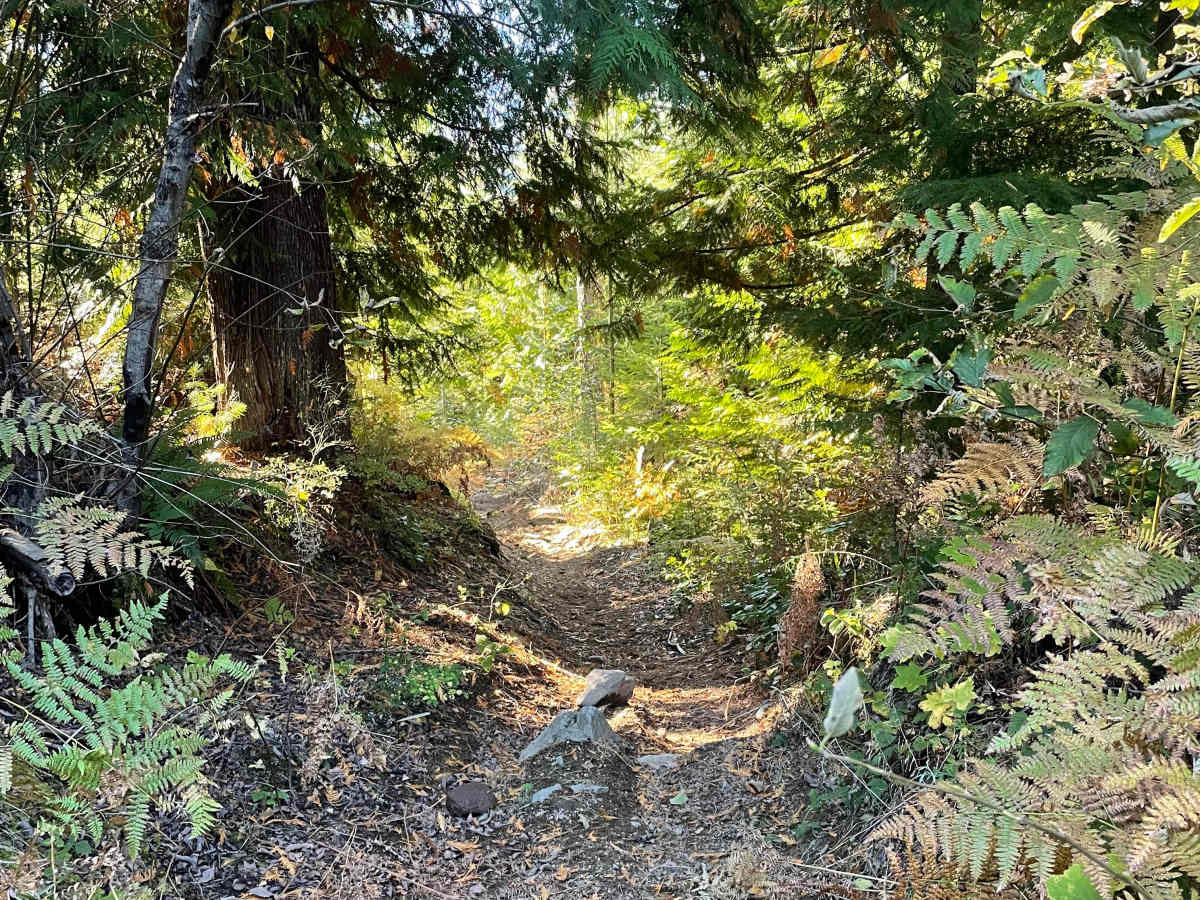 Side Quest photo 5