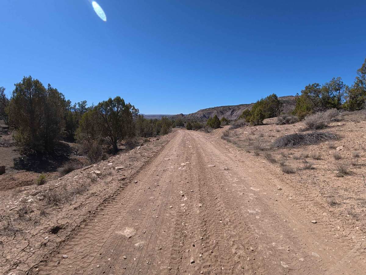 BLM V 3/10 photo 4