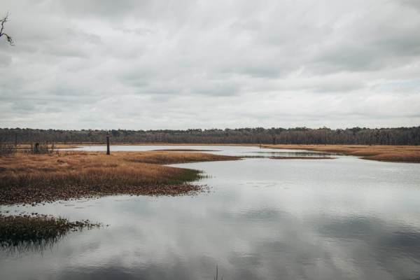 Donnelly Wildlife Management Area