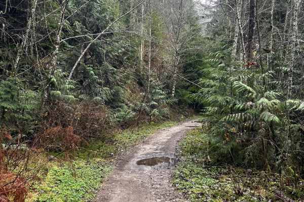 Ring Creek Rip