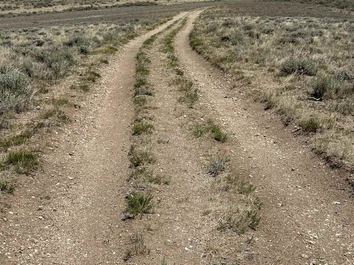 Jensen Creek Ridge Road photo 3