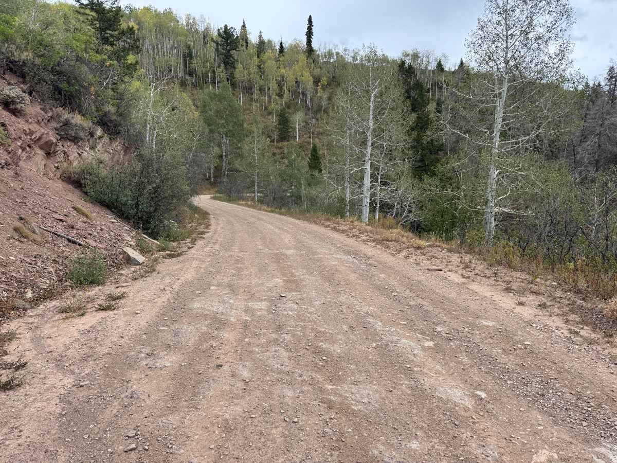 Lenado Road photo 2