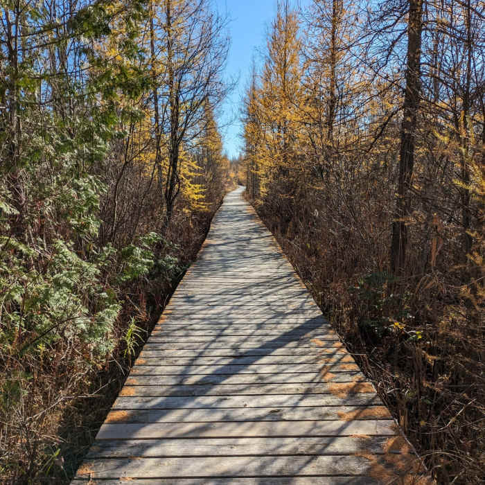 Near Oivi's Nature Trail