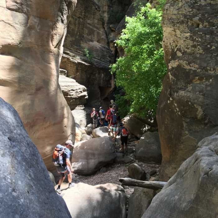 Near West Fork Upper Extension from 231