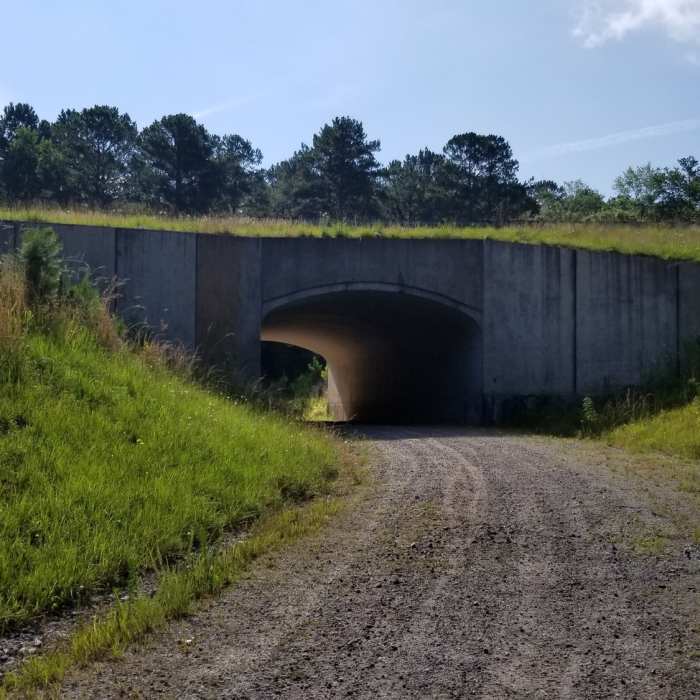 Tunnel ahead. Near Link Way to Wind Way Hills
