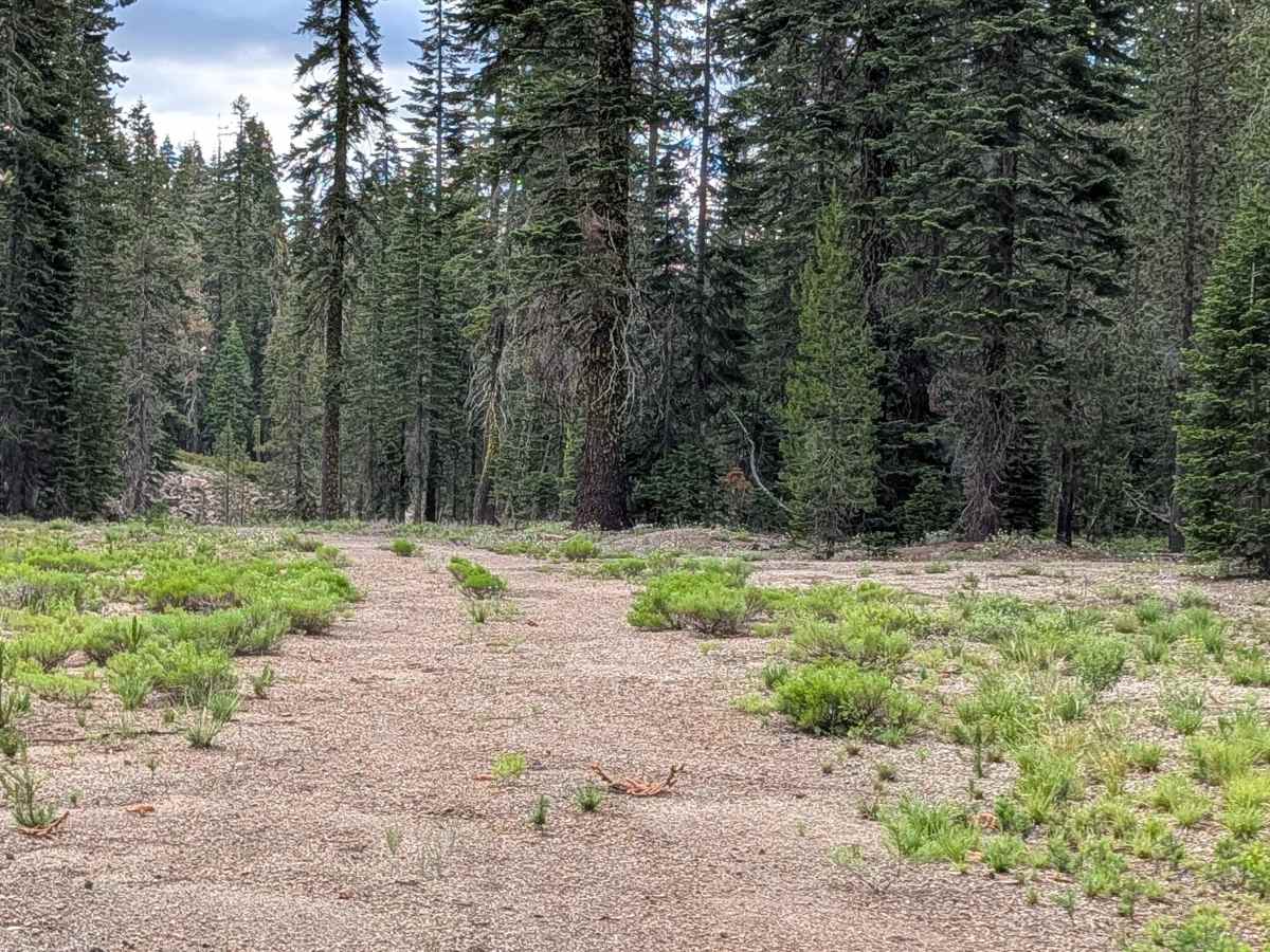 Lost Springs - FS 43N37 photo 2