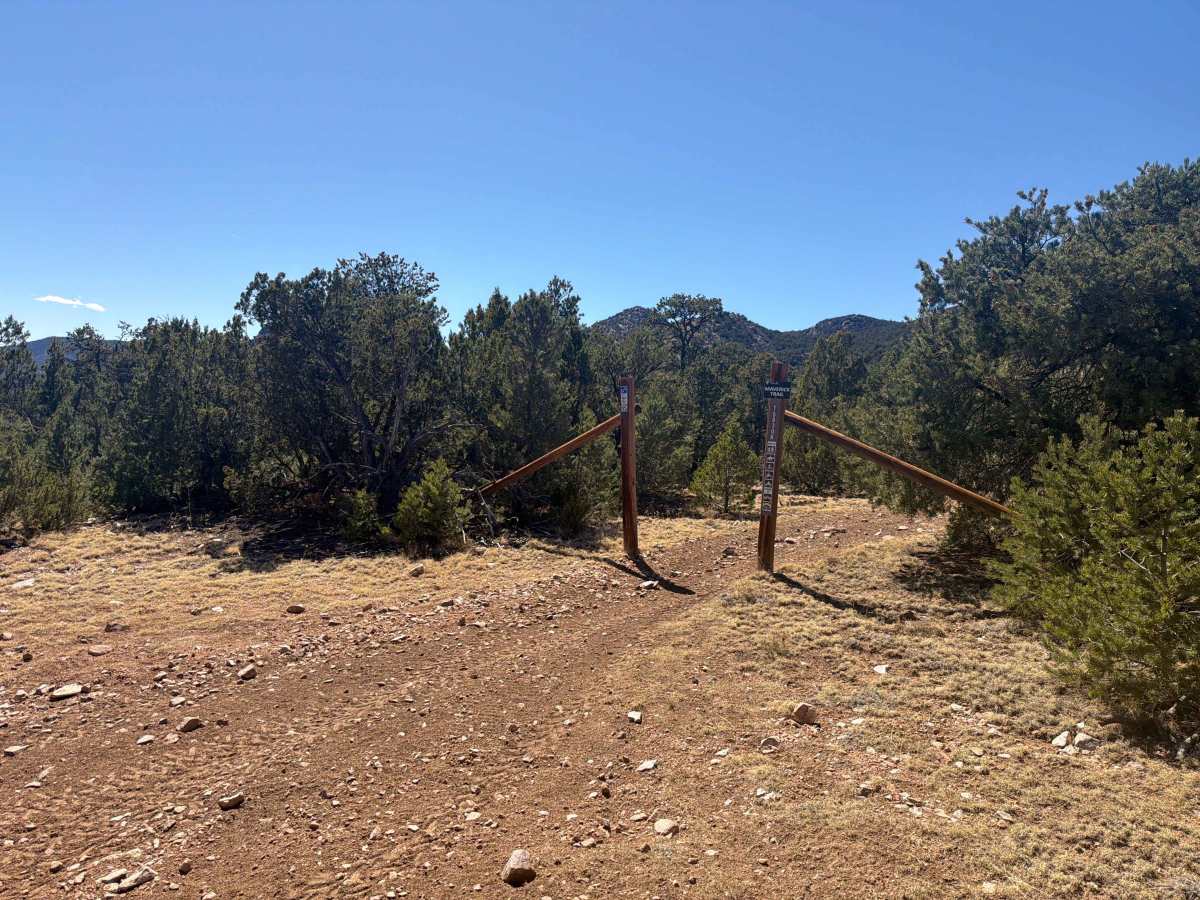 BLM 5830D photo 5