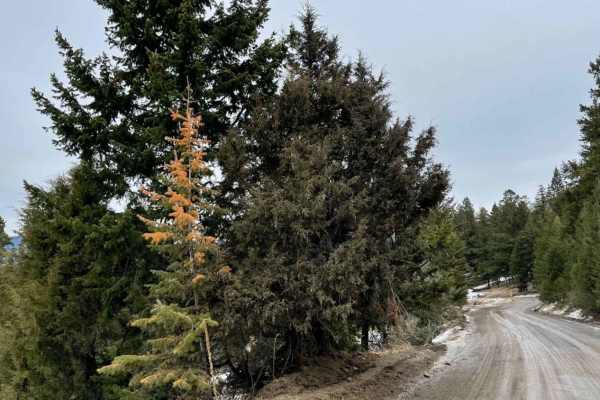 Robbin Range Road