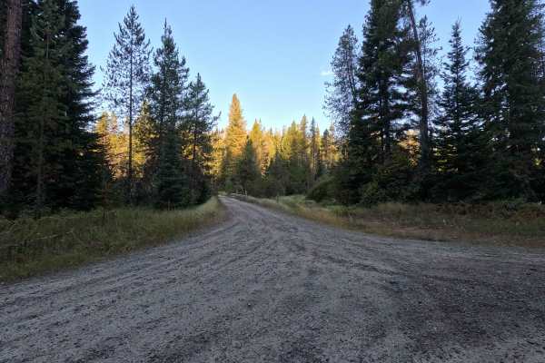 Klahowya Creek - FS 1075