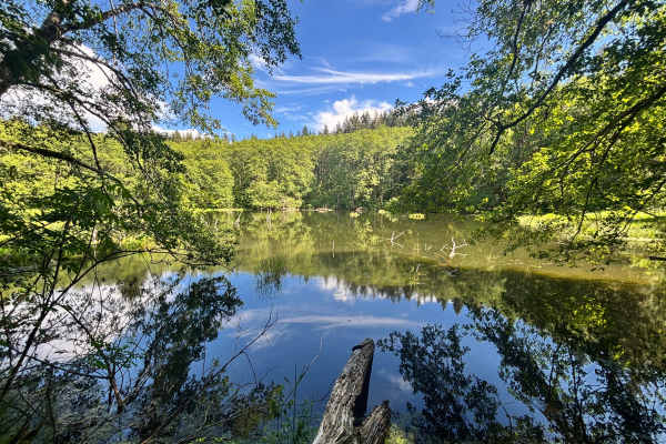 Bloom Lake
