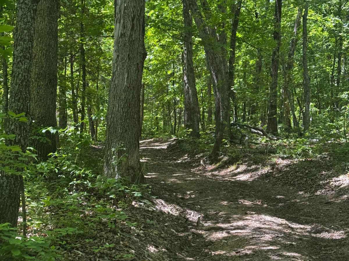 Freddy's Cut trail photo