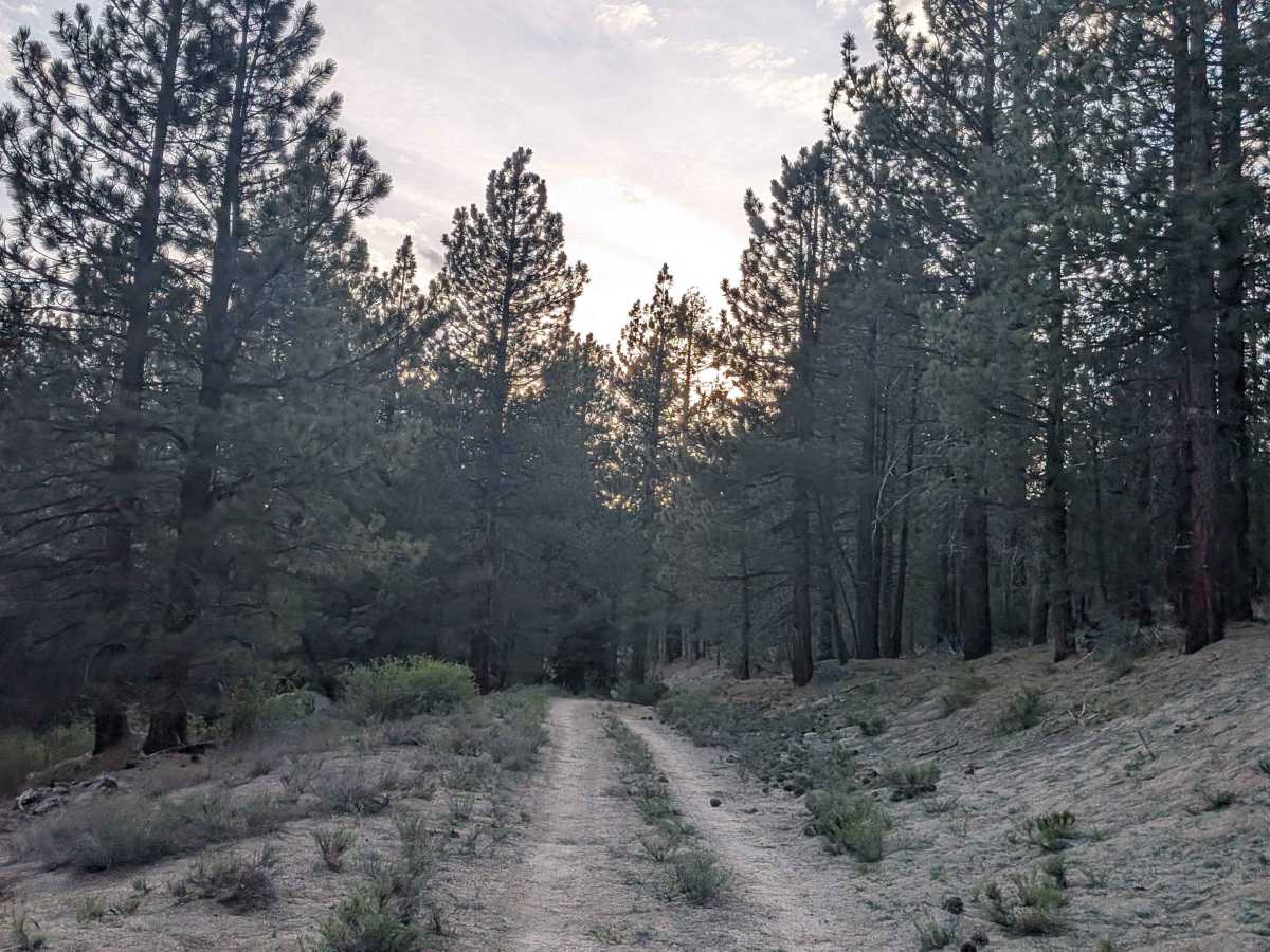 Horse Meadow Spur - FS 23S10A photo 6
