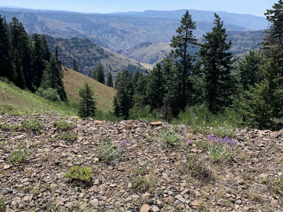 Hells Canyon Overlook - Dirt Road Approach trail photo