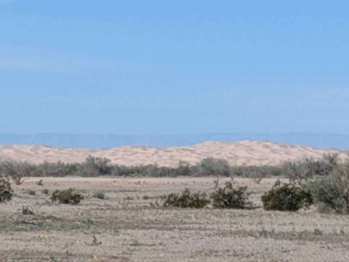 BLM 539 NW photo 6