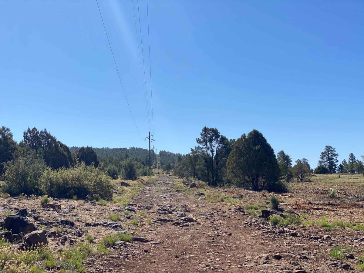504 to Pole Line photo 2