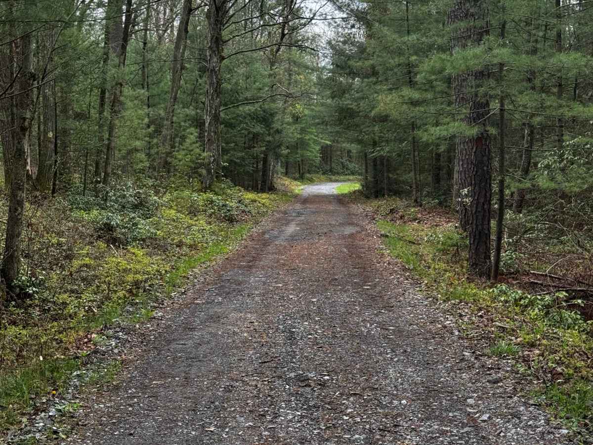 Old Grade Trail photo 6
