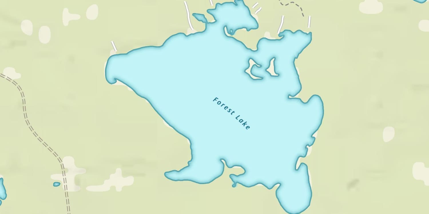 Forest Lake