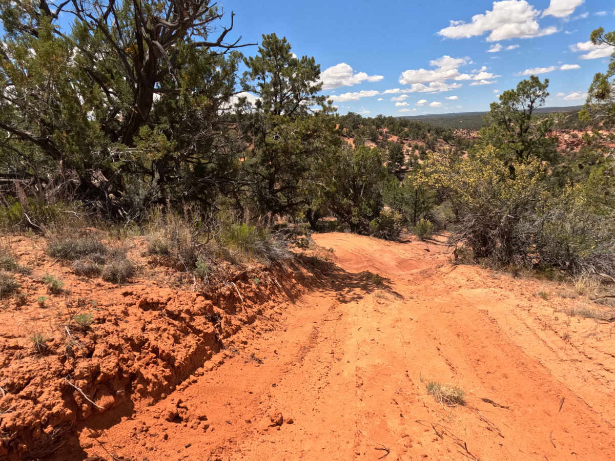 BLM 101J photo 6