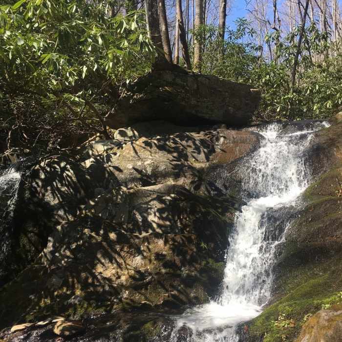 Near Widow's Creek Trail
