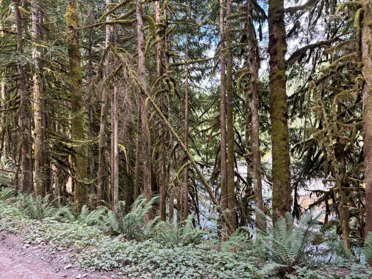 South Tye River Access photo 4