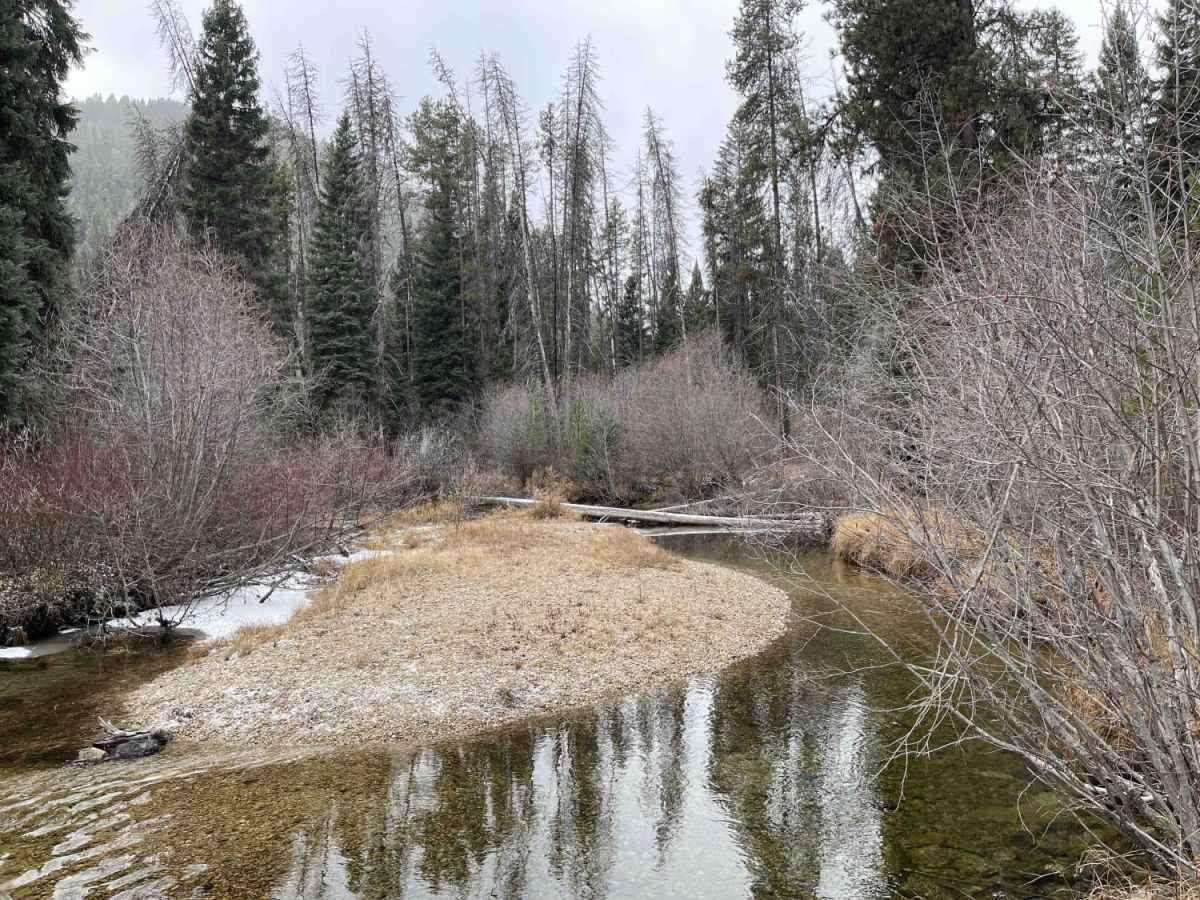 Trapper Trailhead Side Trail photo 3