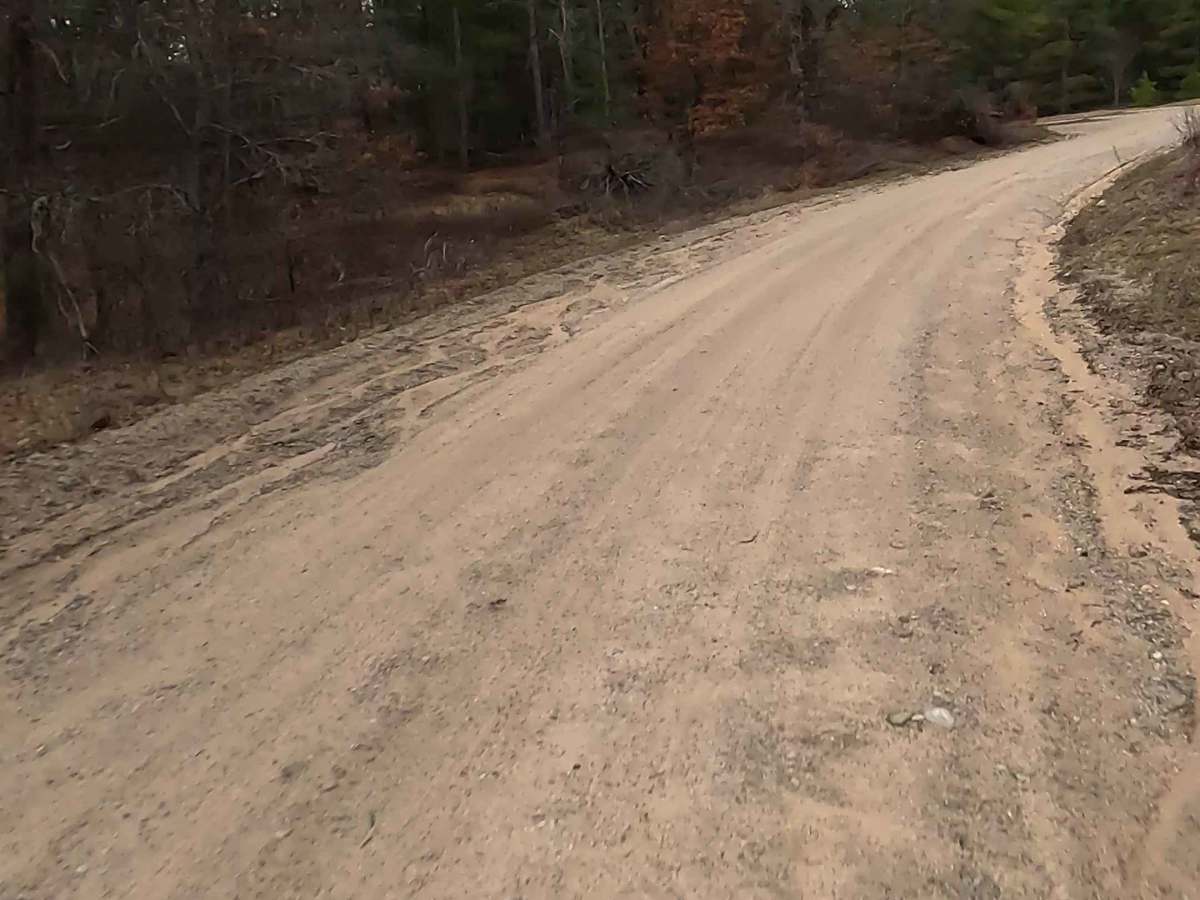 Indian Lake Road - FS 4880 photo 4