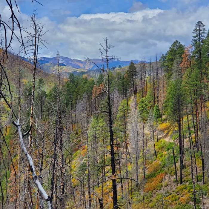 Near Hermosa Creek Trail