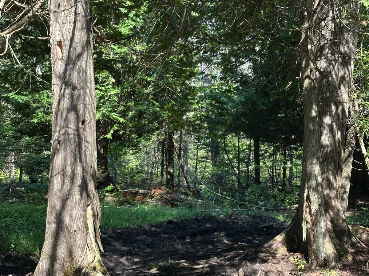 Less Traveled  photo 2