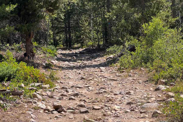 North Fork of the Provo