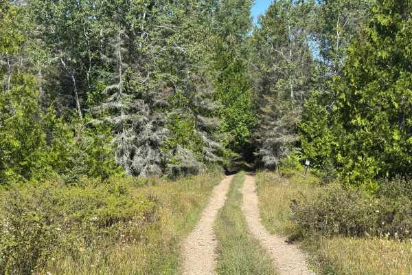 Reynolds Bay Trail