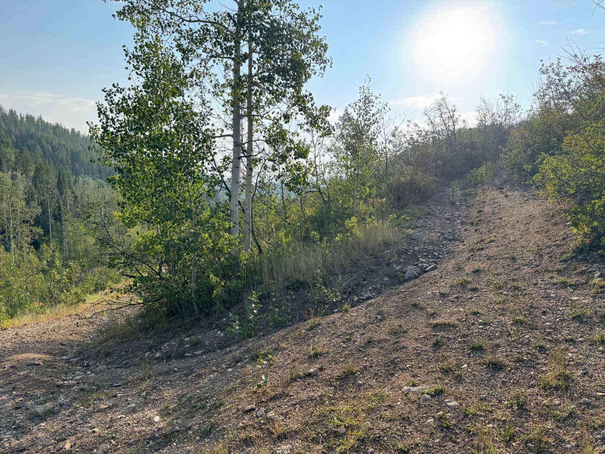 FS 403 photo 3