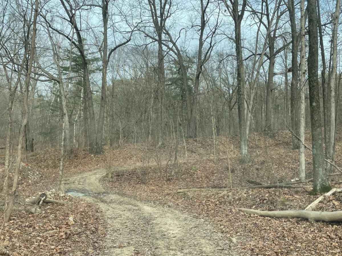 Redbird Trail 5 photo 4
