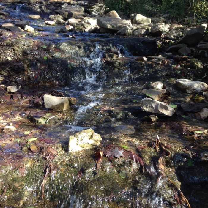 Near Lost River Cave Trails