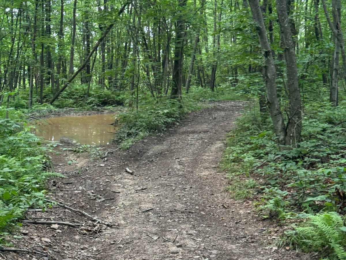 Trail 84 photo 2