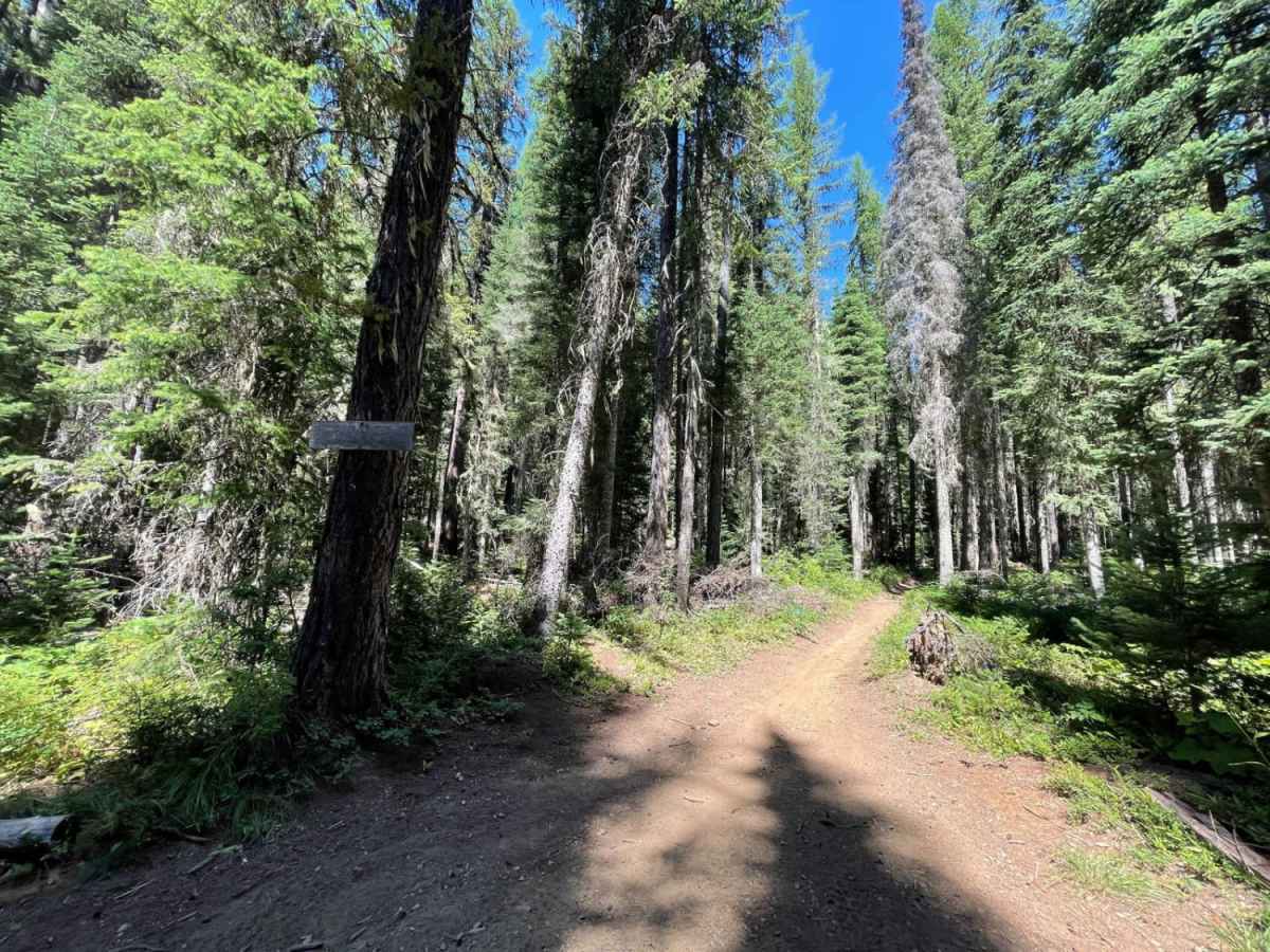 East Declaration Trail #416 trail photo