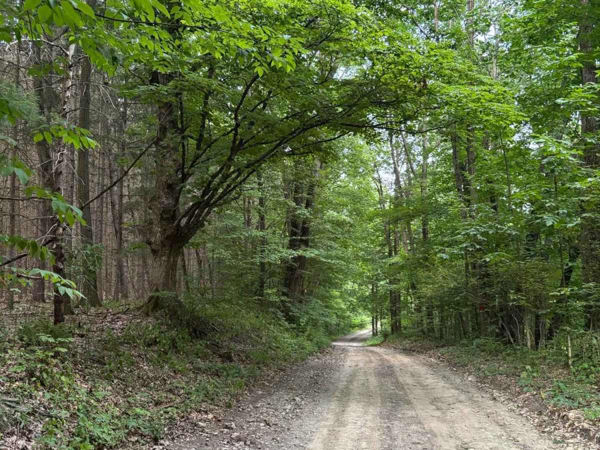 Williams Road photo 2