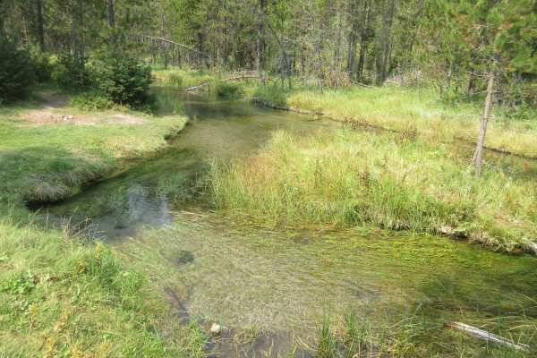 Fish - Chick Creek Roads
