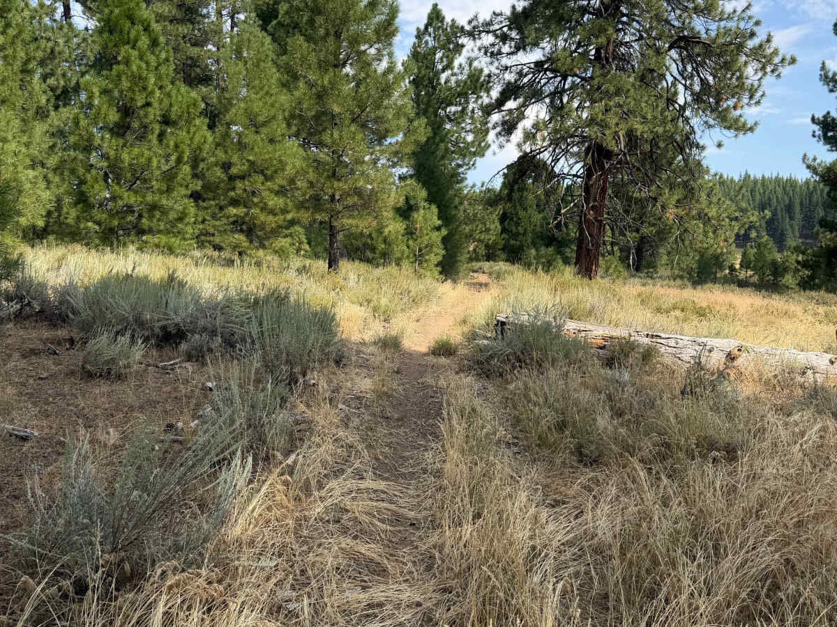 Dry Creek Trail photo 4