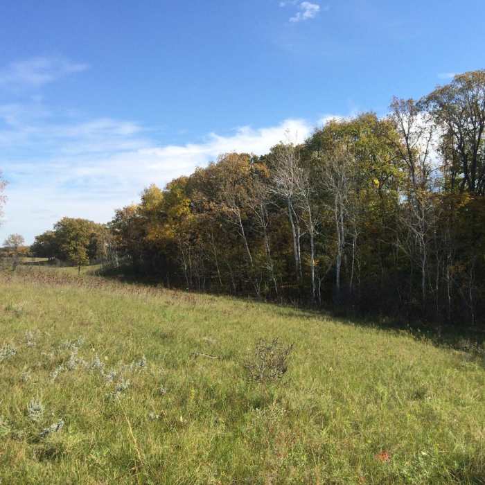 Near Sheyenne National Grassland Near Sheyenne National Grassland
