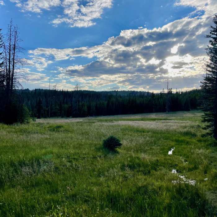 Near Continental Divide Trail: Wyoming Section 1